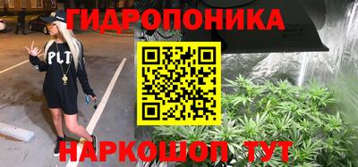 хмурый Боровичи
