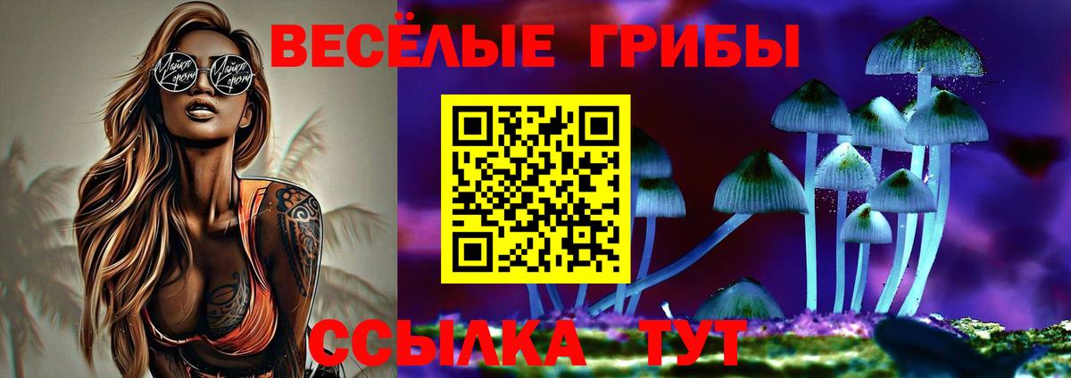 Галлюциногенные грибы мухоморы  Вход с VPN  Богородицк  Псилоцибиновые грибы Psilocybe 